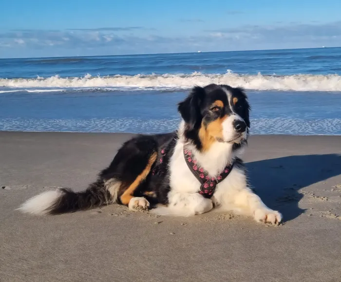 Penny auf Wanderung